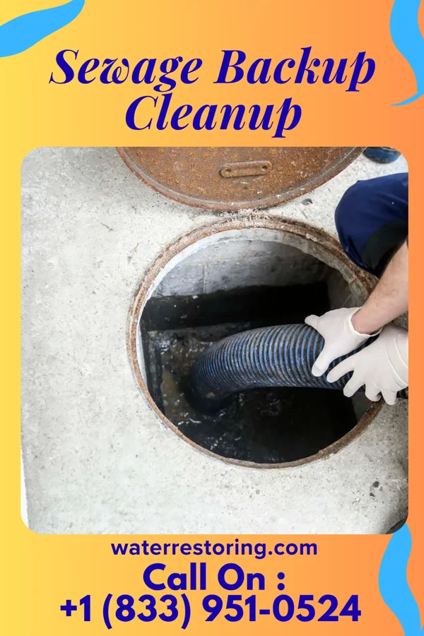 Sewage Backup Cleanup in Fidelity, IL